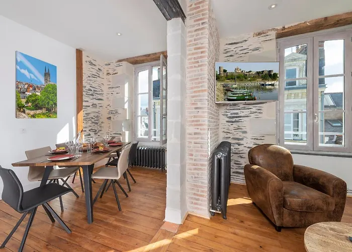 Hypercentre 16 Rue Valdemaine 公寓 昂热